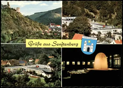 Senftenberg Mehrbildkarte Ortsansichten SENFTENBERG im Kremstal, NÖ 1980