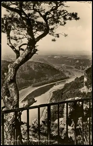 Ansichtskarte Stadt Wehlen Panorama-Ansicht Blick entlang der Elbe 1957