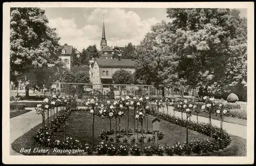 Ansichtskarte Bad Elster Partie im Rosengarten zur DDR-Zeit 1954/1953