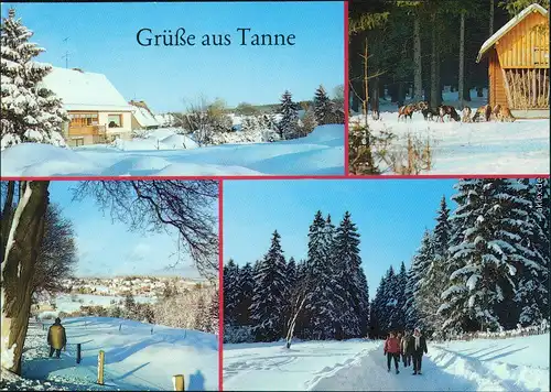 Tanne (Harz) Oberdorf, Muffelwild, Harteweg, Wanderweg - im Winter 1987