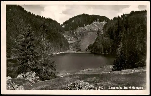 Ansichtskarte Reit im Winkl Taubensee 1951  gel. Luftpost 2x10Pfg Posthorn