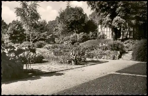Ansichtskarte Bielefeld Botanischer Garten, Fotokarte 1957