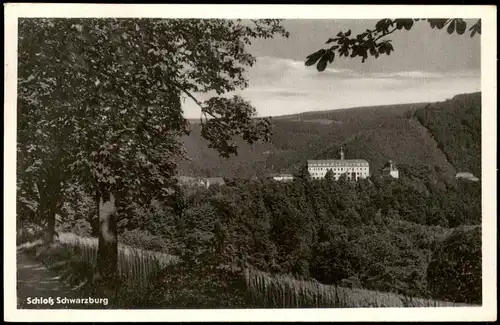 Ansichtskarte Schwarzburg Schloss Schwarzburg Fernansicht (Castle View) 1958