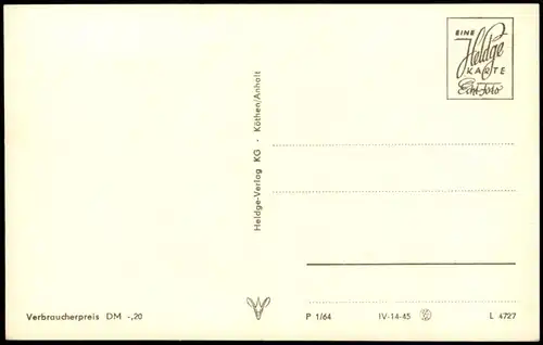 Wörlitz-Oranienbaum  Wörlitzer Park DDR Mehrbildkarte 1964