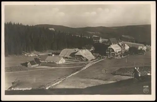 Ansichtskarte Titisee-Neustadt Feldbergerhof 1928