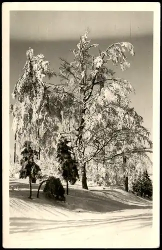 .Thüringen Thüringer-Wald (Allgemein) Stimmungsbild Winter Landschaft 1955