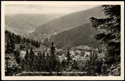 Bärenfels Altenberg (Erzgebirge) Blick auf Kipsdorf u. Sachsenhof 1950