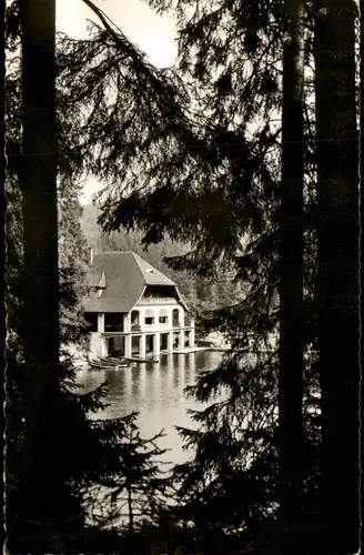 Ansichtskarte Freudenstadt Langenwaldsee - Restaurant 1962