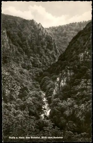 Ansichtskarte Treseburg D Bodetal, Blick vom Bodetor 1966