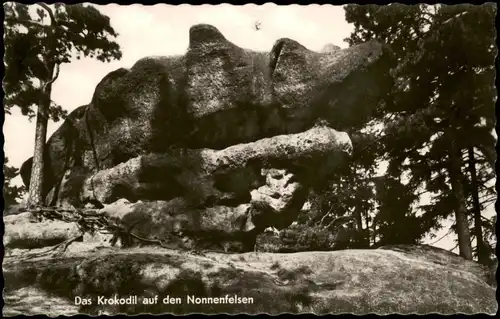 Jonsdorf Das Krokodil auf den Nonnenfelsen Zittauer Gebirge 1962