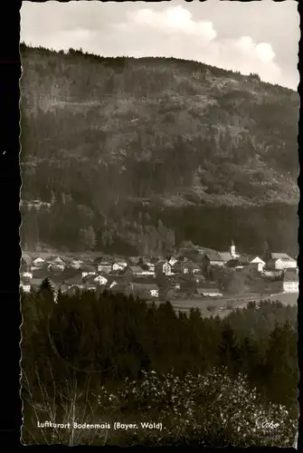 Ansichtskarte Bodenmais Blick auf die Stadt 1956