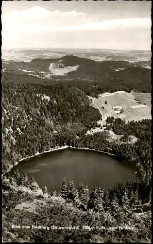 Ansichtskarte Feldberg (Schwarzwald) Blick vom Feldberg 1964