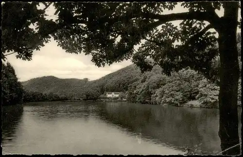 Ansichtskarte Bad Lauterberg im Harz Umlandansicht mit Teich 1958