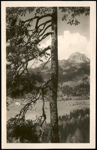 Ansichtskarte Bayrischzell Umland-Ansicht im Hintergrund der Wendelstein 1930