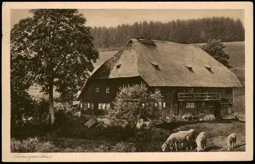 Ansichtskarte St. Märgen Schwarzwaldhaus, Schaafe 1946