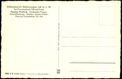 Ansichtskarte Hallwangen-Dornstetten Pension Waldeck 1934