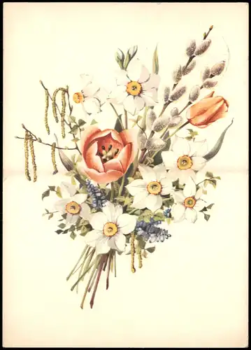 Ansichtskarte  Botanik Blumen DDR Künstlerkarte 1962