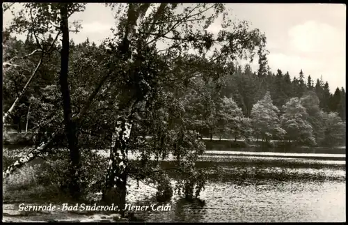 Ansichtskarte Gernrode-Quedlinburg Neuer Teich 1958