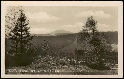 Geising-Altenberg (Erzgebirge) Ost-Erzgebirge. Blick nach dem Geising 1955