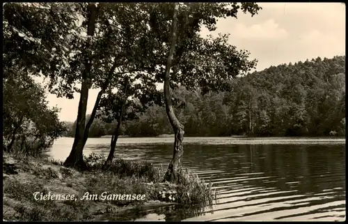 Ansichtskarte Berlin Tiefensee, Am Gamensee 1959