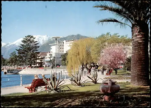Ansichtskarte Muralto (Luarno) Langensee Lungolago LOCARNO-MURALTO 1990