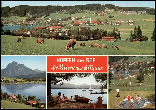 Hopfen am See-Füssen Mehrbildkarte "die Riviera des Allgäus" 1980