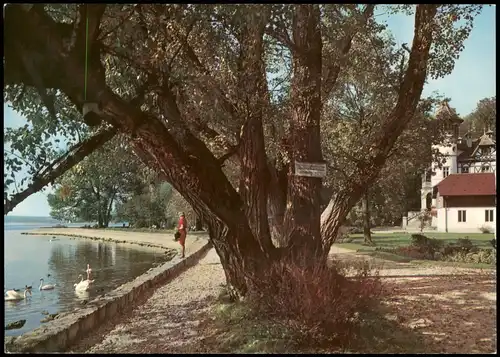 Ansichtskarte Herrsching am Ammersee An der Seepromenade 1970
