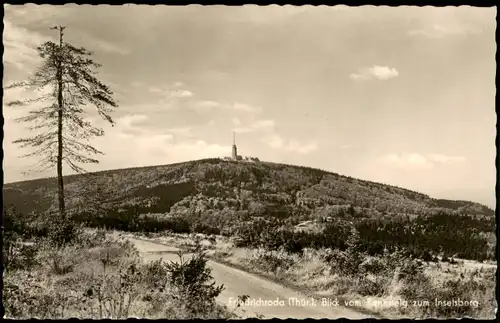 Ansichtskarte Brotterode Blick vom Rennsteig zum Inselsberg 1958