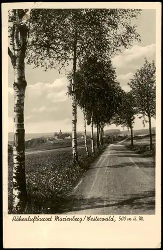Ansichtskarte Bad Marienberg (Westerwald) Birkenweg zur Stadt 1938