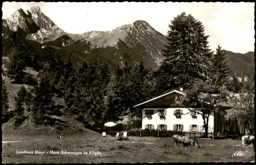 Ansichtskarte Schwangau OT Horn: Landhaus Mayr 1960