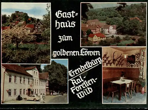 Ansichtskarte Trendelburg Mehrbild: Gasthaus zum goldenen Löwen 1969