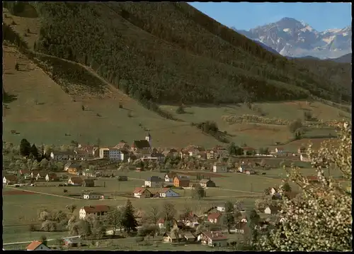 Ansichtskarte Molln Panorama-Ansicht Hintergrund Totes Gebirge 1980