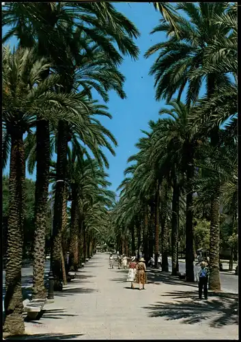 Postales Palma ( de Mallorca) Paseo de Sagrera - Mallorca 1988