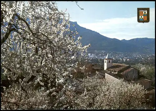 Postales Sóller (Mallorca) Panorama-Ansicht, Baum-Blüte 1980