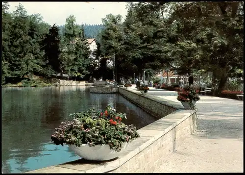 Ansichtskarte Bad Sachsa Am Schmelzteich 1979