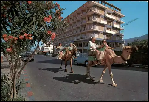 Puerto de la Cruz Avenida de Colón Kolumbus-Avenue Touristen mit Kamelen 1965