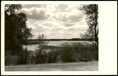 Ansichtskarte Bestensee Blick über den Todnitzsee 1956