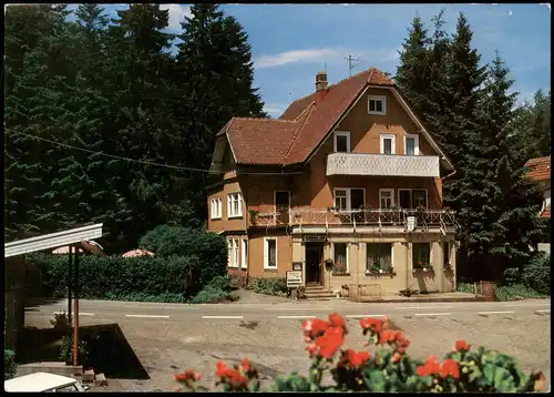 Ansichtskarte Zwieselberg-Freudenstadt Gasthod-Pension Tannenhof 1984