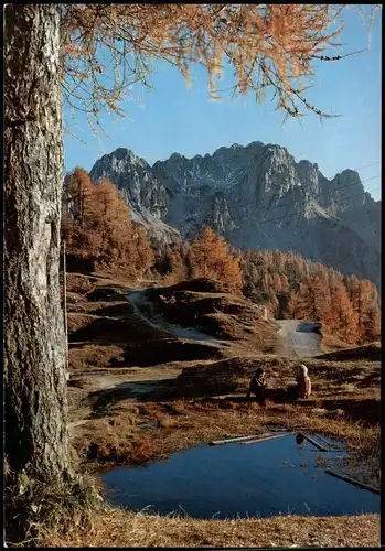 Tarvis Tarvisio Trbiž Le Cime Cacciatori viste dal Monte Lussari 1980