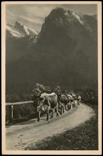 Berchtesgaden Umland-Ansicht Abtrieb von der Alm Kühe geschmückt 1930