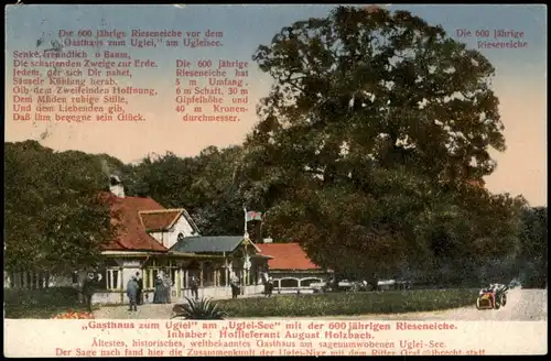 Ansichtskarte Sielbeck-Eutin Ugleisee, Restaurant 600 Jährige Eiche 1921