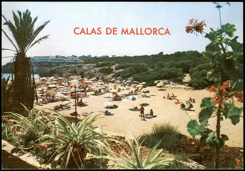 Postales Mallorca CALAS DE MALLORCA Strand Mittelmeer Balearen 1988