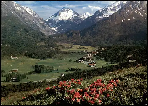 Ansichtskarte Maloja-Stampa Maloja Oberengadin Blick Fornogebiet 1980
