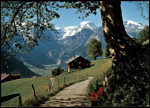 Braunwald GL Sonnenbalkon des Glarnerlandes Blick auf Tödi 1980