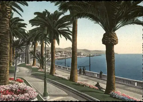 San Remo Sanremo Palmizi del Corso Imperatrice Palm-tree on Corso  1960