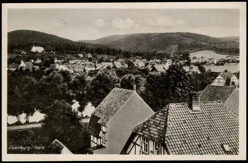 Ansichtskarte Ilsenburg (Harz) Panorama-Ansicht 1930