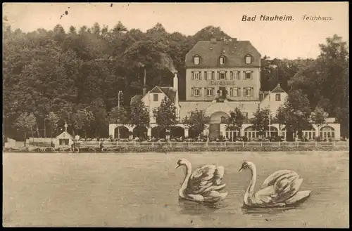 Ansichtskarte Bad Nauheim Teichhaus. Schwäne 1916  gel. Feldpost