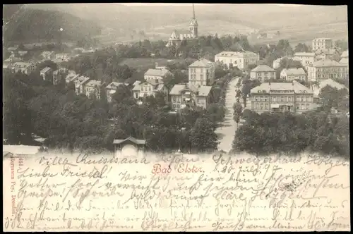Ansichtskarte Bad Elster Panorama-Ansicht 1897