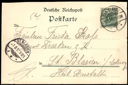 Ansichtskarte Bad Elster Panorama-Ansicht 1897