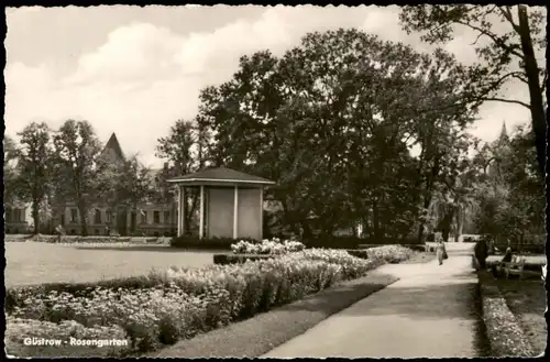 Ansichtskarte Güstrow Rosengarten 1957